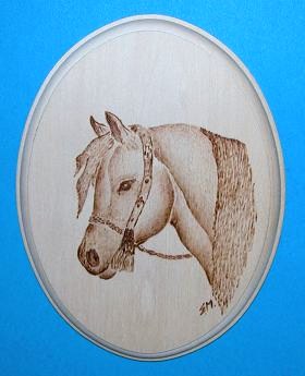 Medaillon oval mit Araberpferdekopf